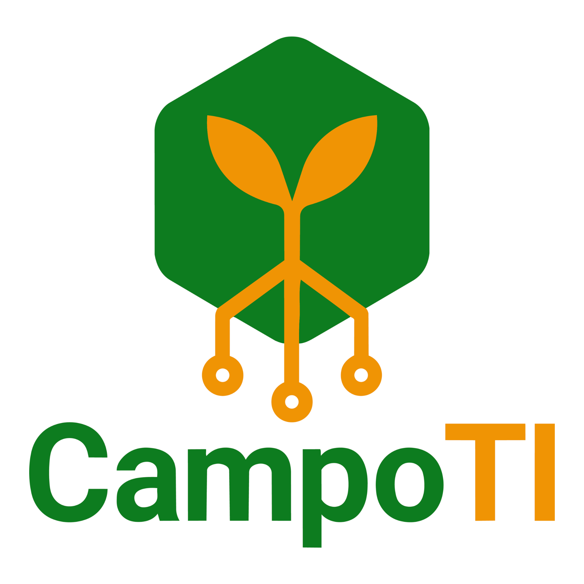 CampoTI